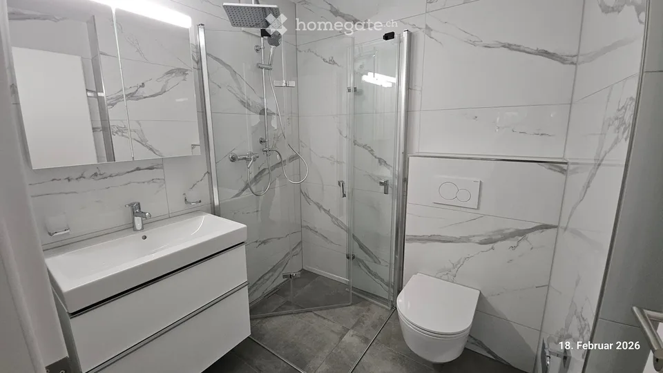 Appartement attractif de 4,5 pièces et 3,5 pièces fraîchement rénové à louer à Schmitten