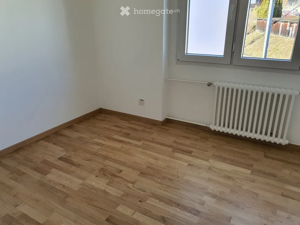Appartement attractif de 4,5 pièces et 3,5 pièces fraîchement rénové à louer à Schmitten