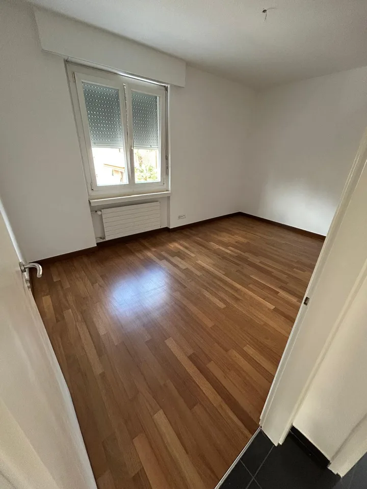Helles 4.5-Zimmer-Apartment in Savosa – sofort verfügbar