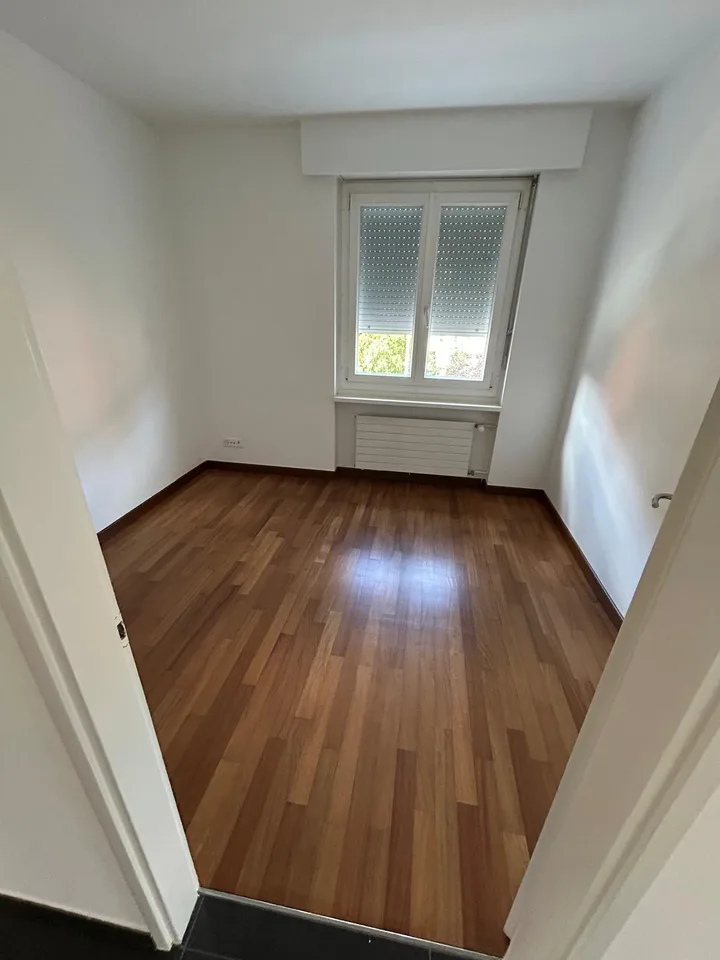 Helles 4.5-Zimmer-Apartment in Savosa – sofort verfügbar