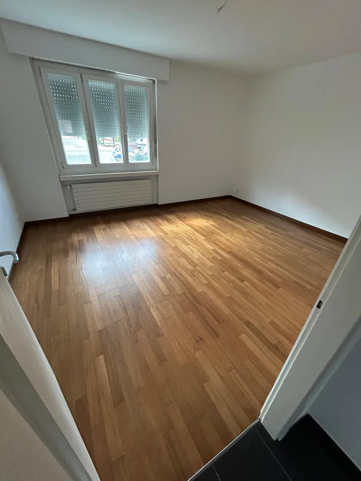 Helles 4.5-Zimmer-Apartment in Savosa – sofort verfügbar