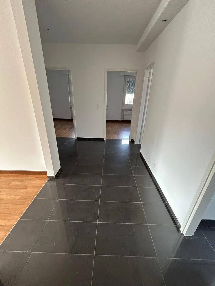 Helles 4.5-Zimmer-Apartment in Savosa – sofort verfügbar