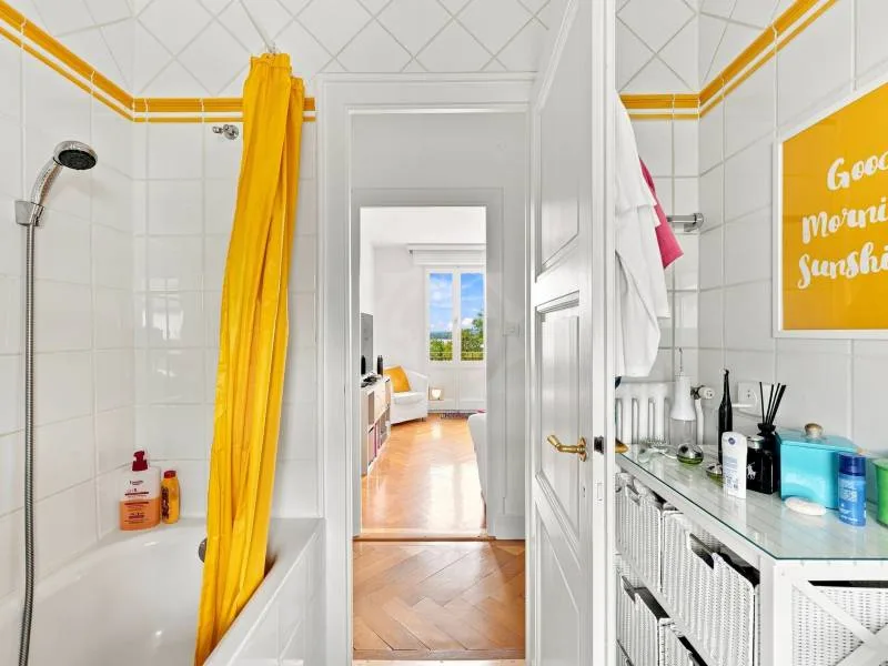 Charmant appartement - Vésenaz