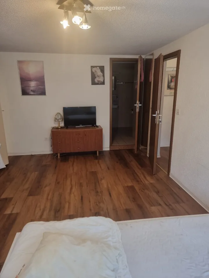 Appartement meublé 1 pièce à Attiswil à louer