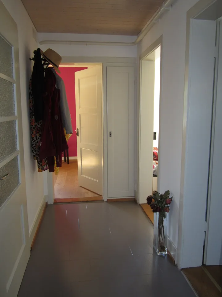 Charming 4.5-room ground-floor apartment in Solothurn
