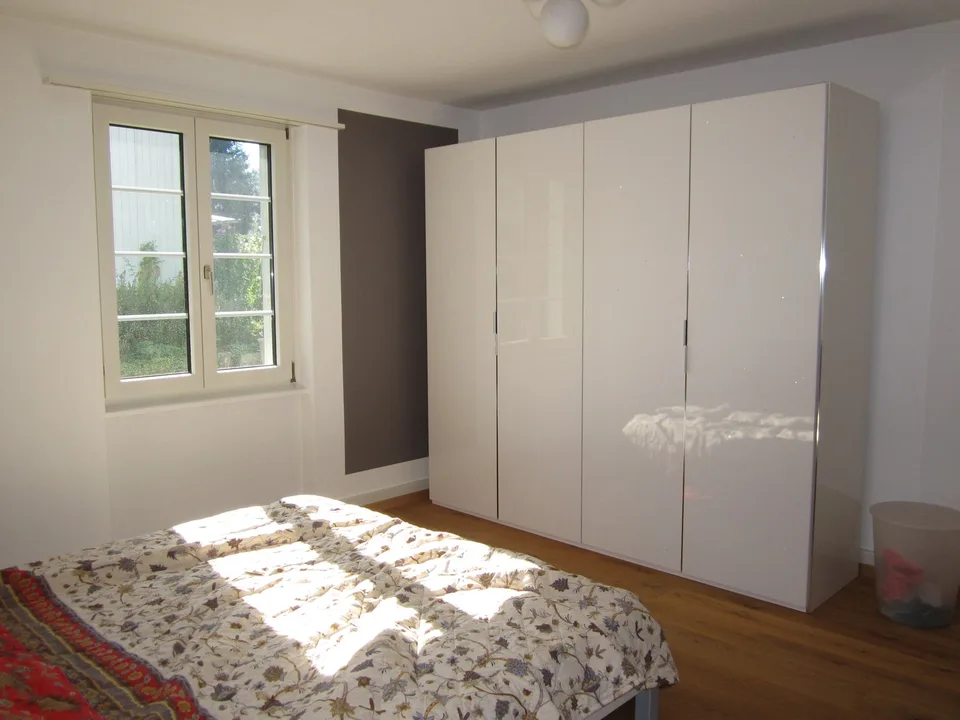 Charming 4.5-room ground-floor apartment in Solothurn