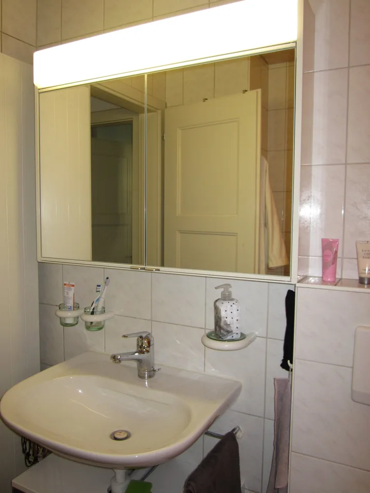Charming 4.5-room ground-floor apartment in Solothurn
