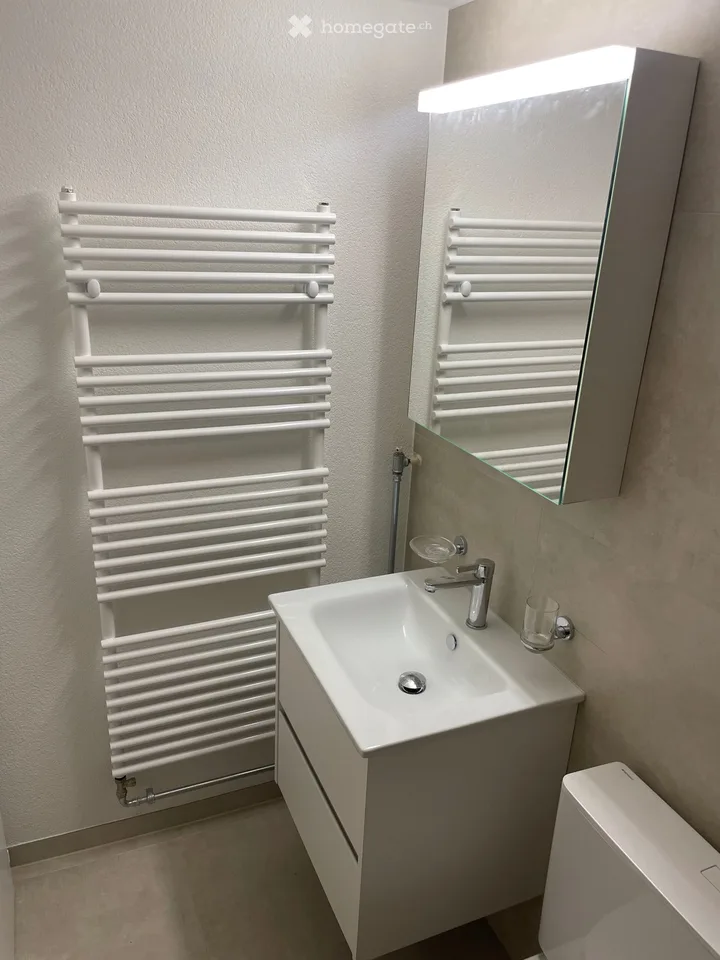 1.5 room apartment for rent in Colombier