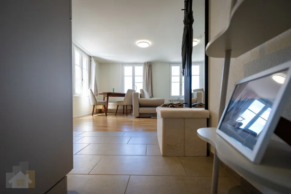 Moderne, möblierte 2.5-Zimmer-Business-Suite in Romanshorn