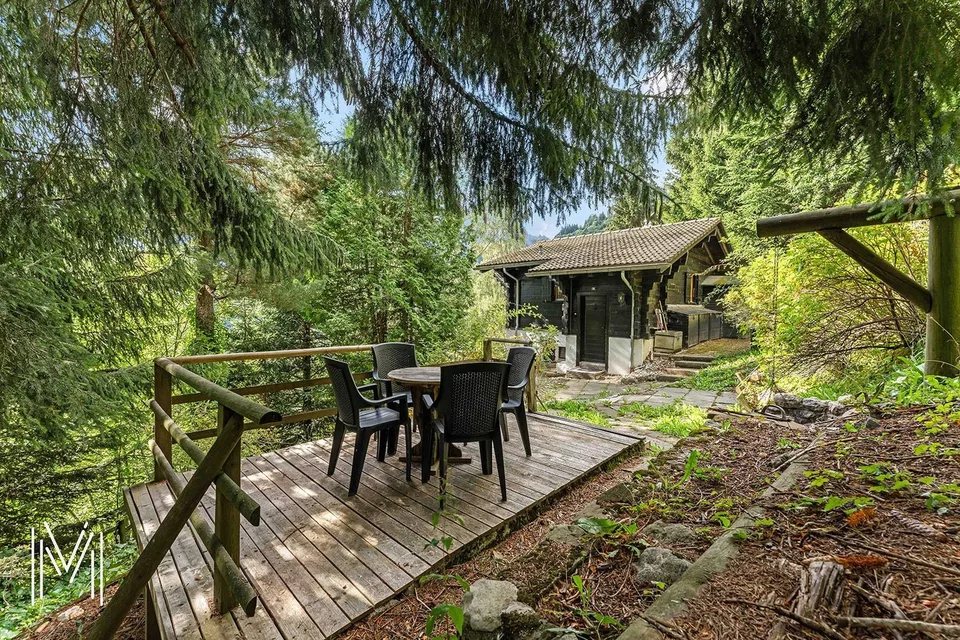 Ein ruhiger Zufluchtsort am Fuße des Moléson ? Chalet mit 4.5 Zimmern im Herzen der Natur – Foto 7 von 26