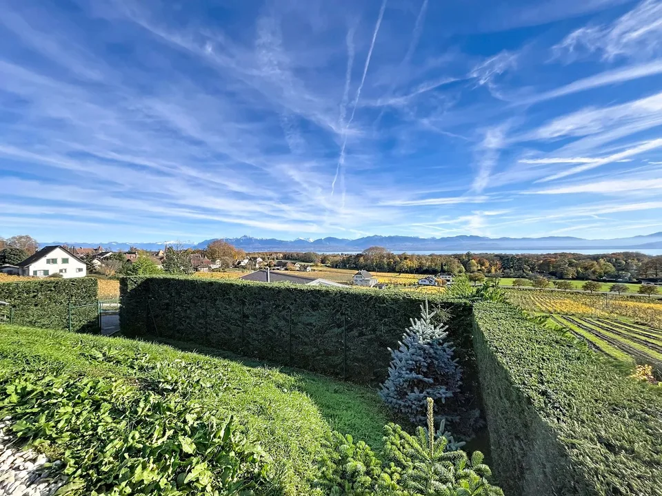 Charming property with panoramic views in Allaman – photo 16 of 26