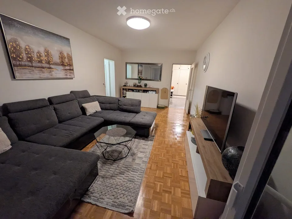 Geräumige 4.5-Zimmer-Wohnung mit zwei Terrassen in Locarno