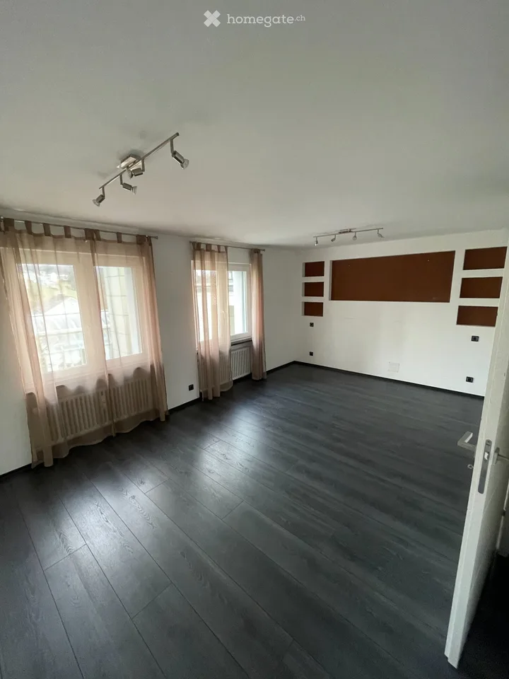 3.5 room apartment with large terrace and garden