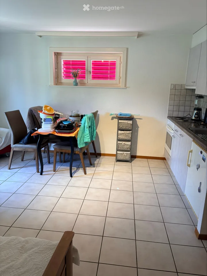 Nice 1-piece furnished apartment