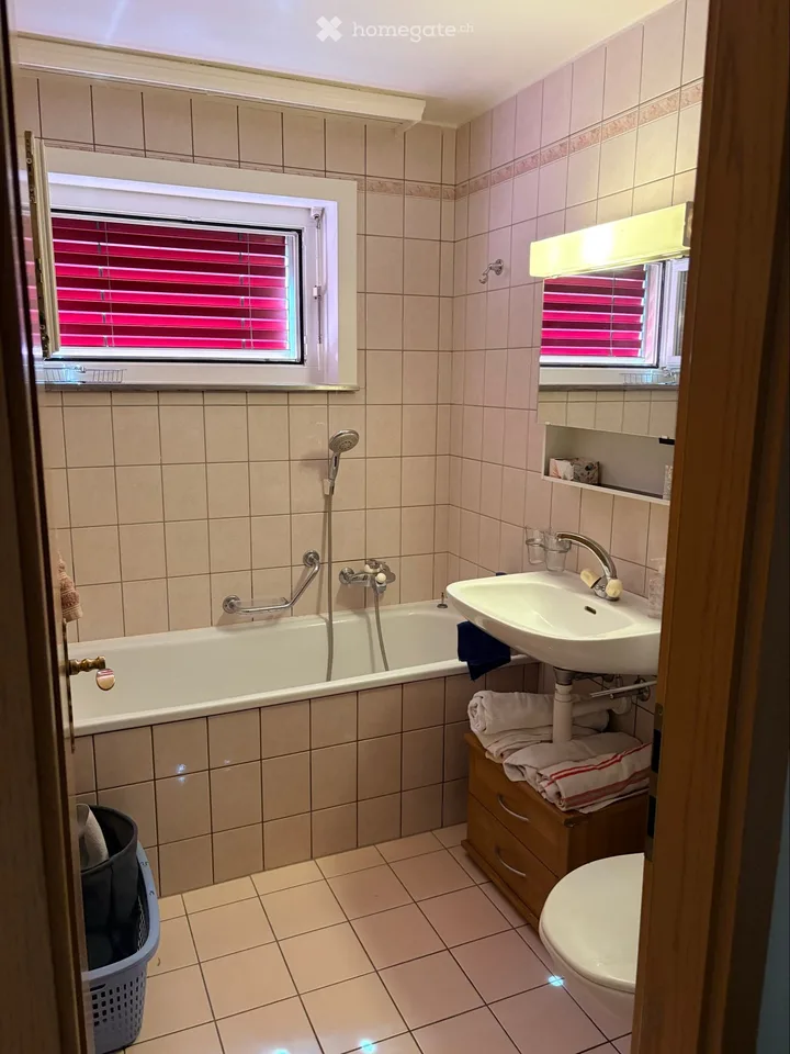 Nice 1-piece furnished apartment