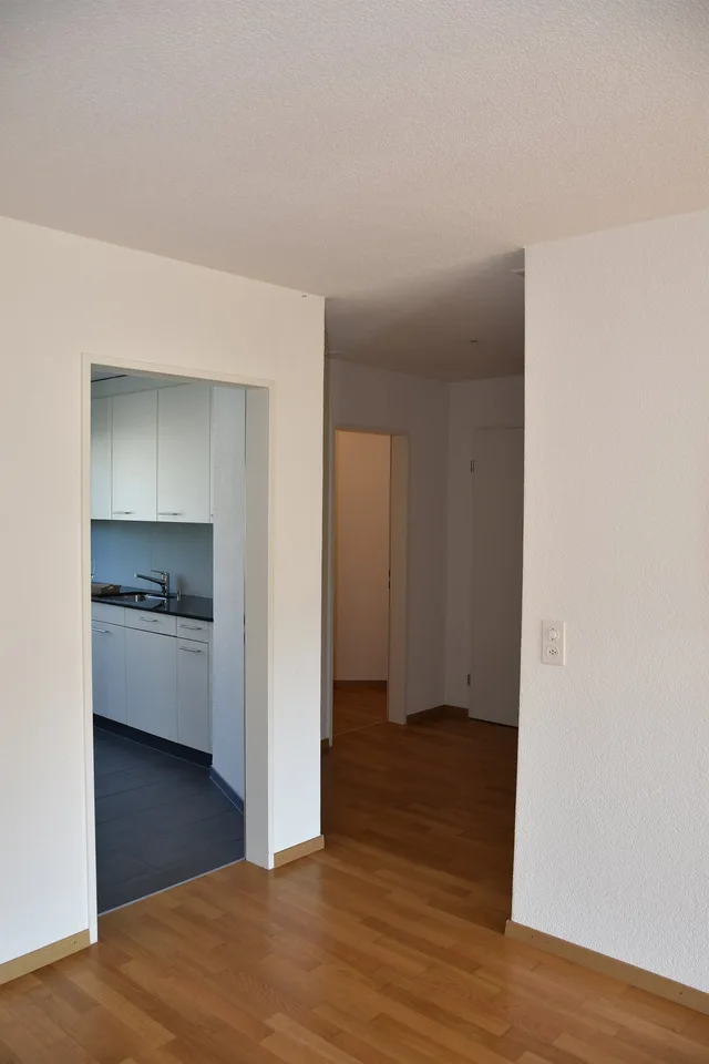 Grosszügige Wohnung mit Cheminée