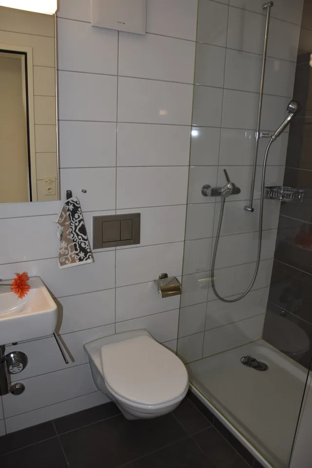 Grosszügige Wohnung mit Cheminée