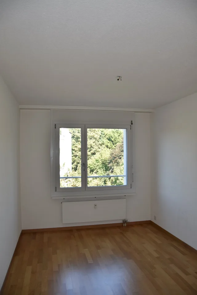 Grosszügige Wohnung mit Cheminée