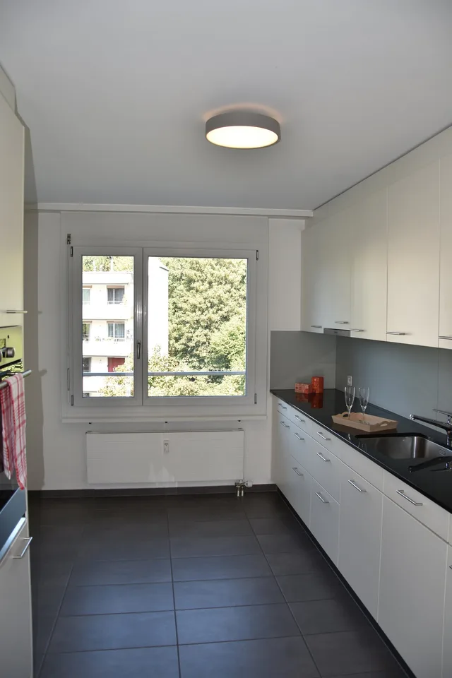 Grosszügige Wohnung mit Cheminée