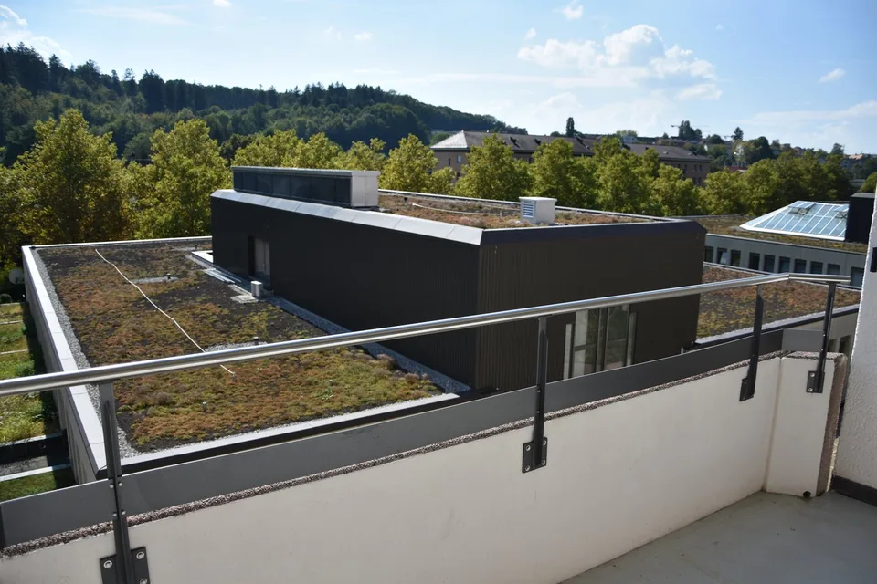Grosszügige Wohnung mit Cheminée