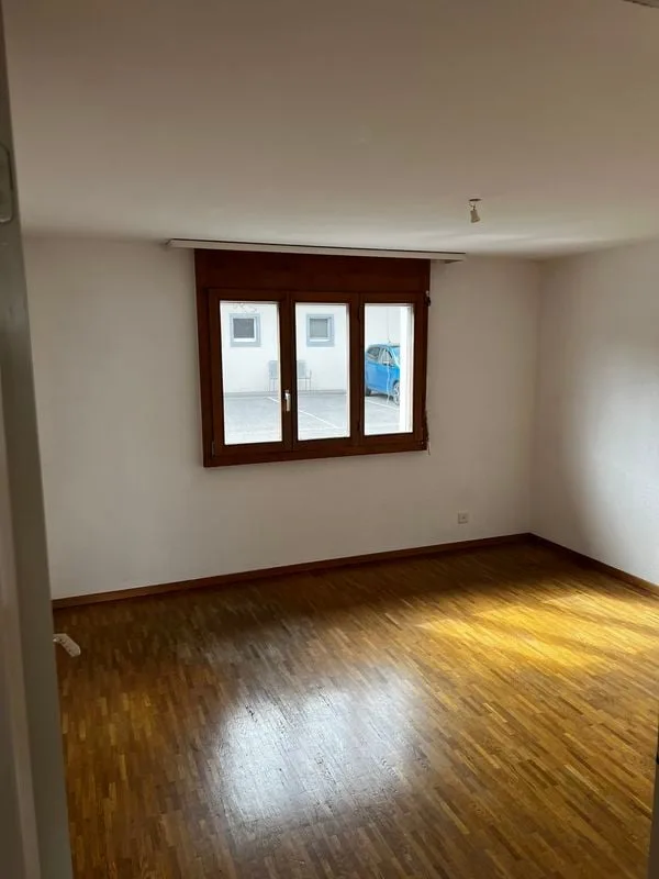 Bello appartamento 3,5 locali 80 m2 al piano terra