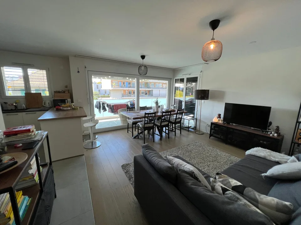 Incantevole appartamento in attico di 3 locali a Nyon – foto 3 di 9