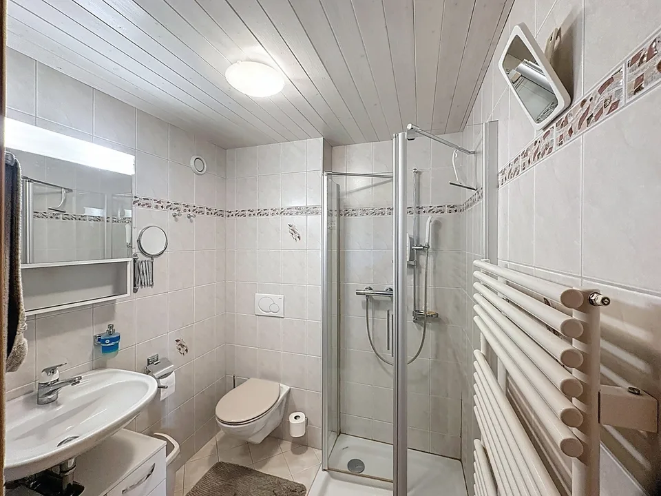 Maison mitoyenne rénovée avec bâtiment 6 studios revenus CHF 52'000.- – Foto 12 von 13