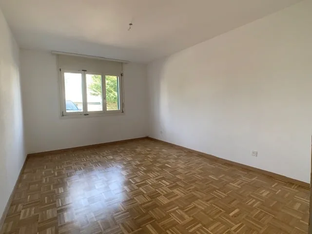 Bello appartamento 2,5 locali 53 m2 al pianterreno