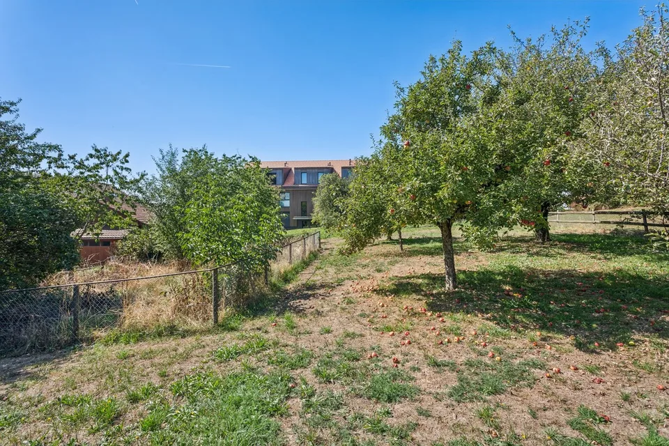 Baugrundstück & Haus zur Renovierung – Foto 2 von 7