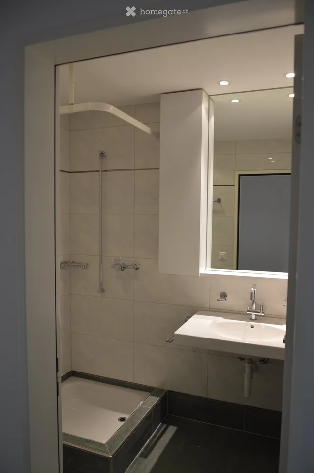 modern, bright 3.5-room apartment with Lägern view