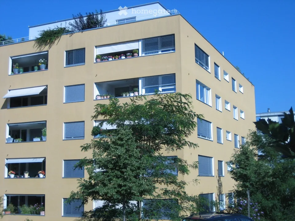 modern, bright 3.5-room apartment with Lägern view