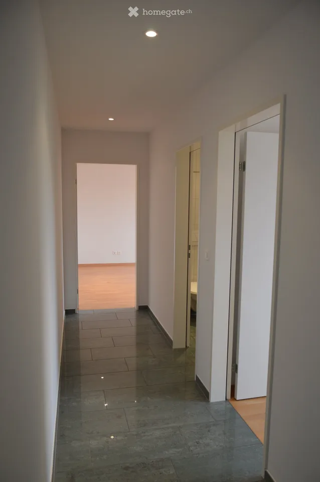 modern, bright 3.5-room apartment with Lägern view