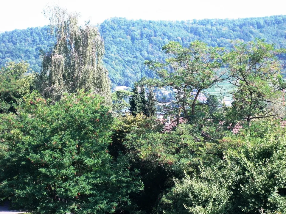 modern, bright 3.5-room apartment with Lägern view