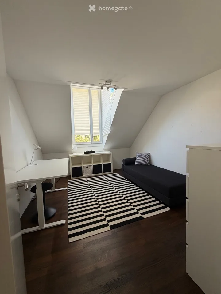 Bello e spazioso appartamento di maisonnette 5.5 locali a Opfikon