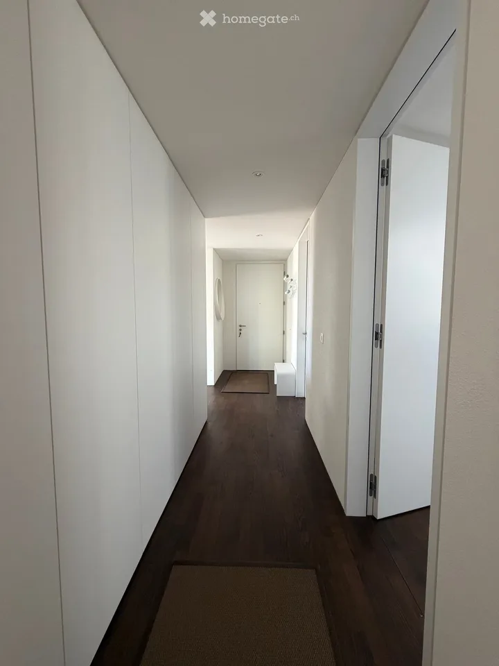 Bello e spazioso appartamento di maisonnette 5.5 locali a Opfikon