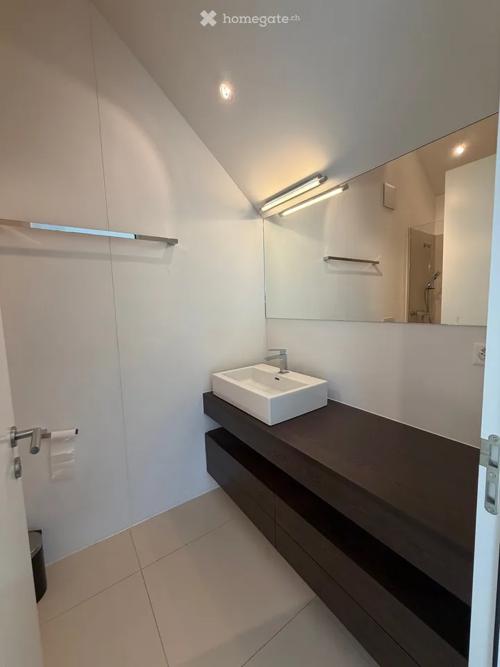 Bello e spazioso appartamento di maisonnette 5.5 locali a Opfikon
