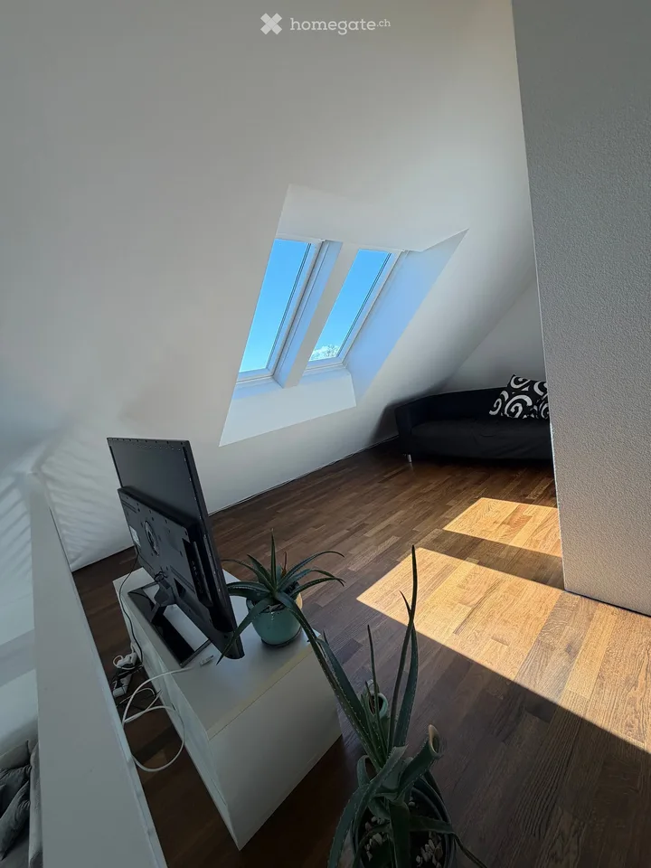 Bello e spazioso appartamento di maisonnette 5.5 locali a Opfikon