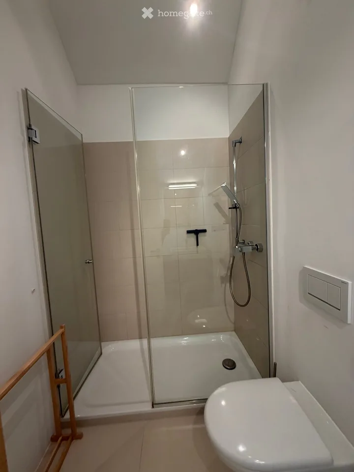 Bello e spazioso appartamento di maisonnette 5.5 locali a Opfikon