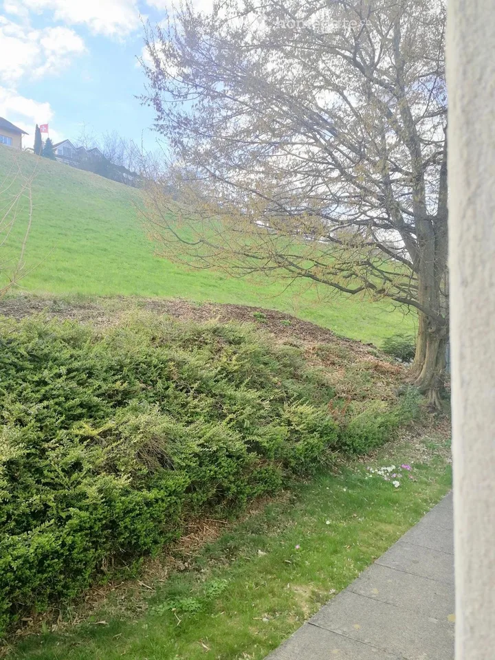 Appartement à Beinwil am See