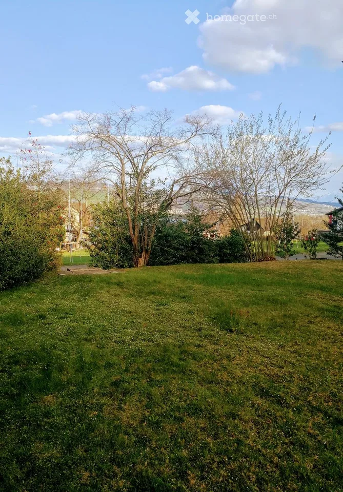 Appartement à Beinwil am See