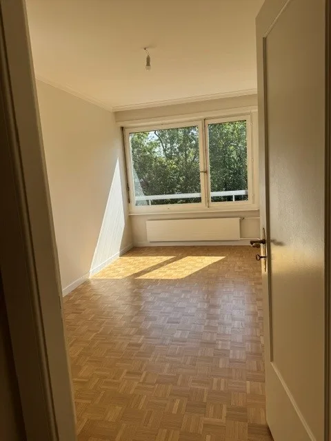 Ampio appartamento di 6 locali con balcone al 7° piano – Route de Florissant, Ginevra – foto 11 di 13