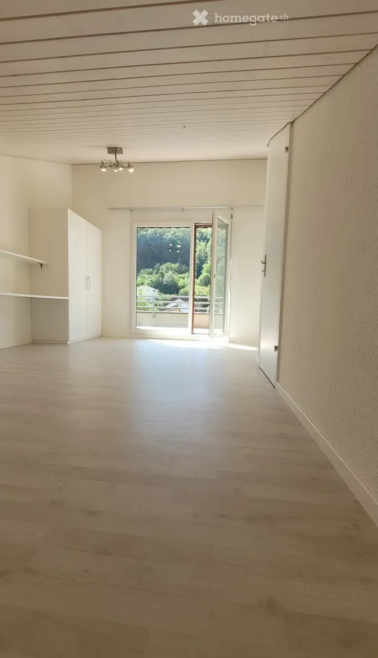 Attikawohnung in Baden