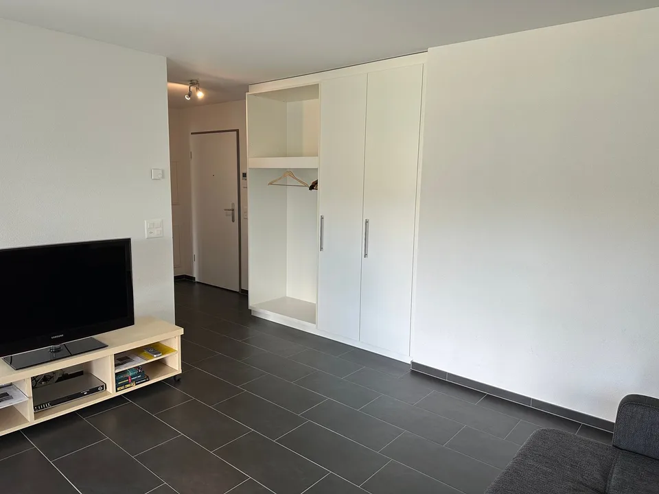 2.5 Zimmerwohnung in Moosleerau