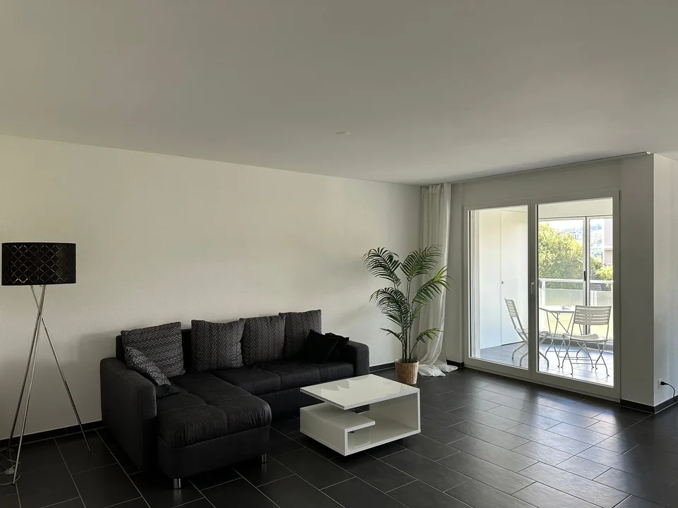 2.5 Zimmerwohnung in Moosleerau