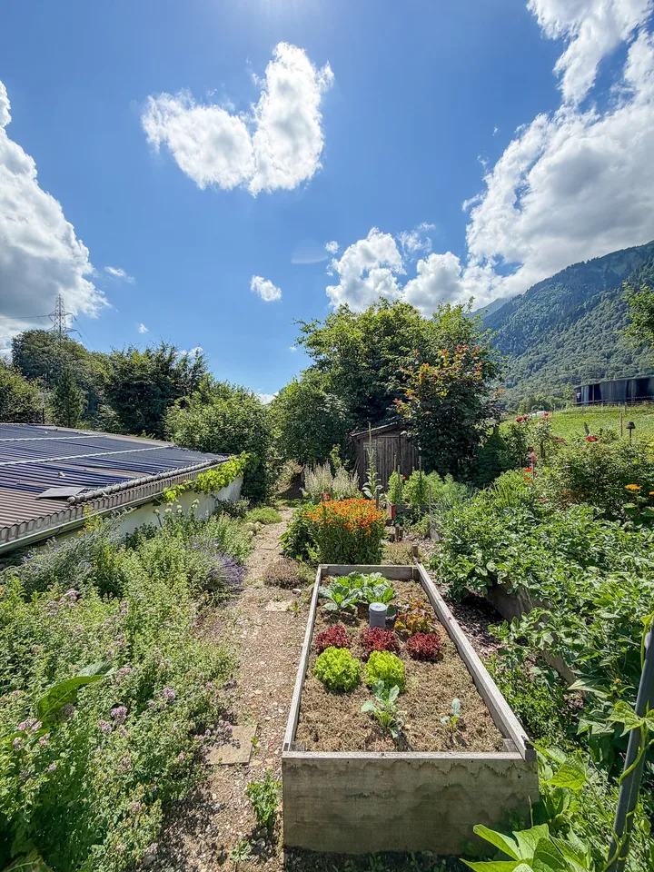 Ampio terreno con potenziale di sviluppo, Pohlern – foto 7 di 8