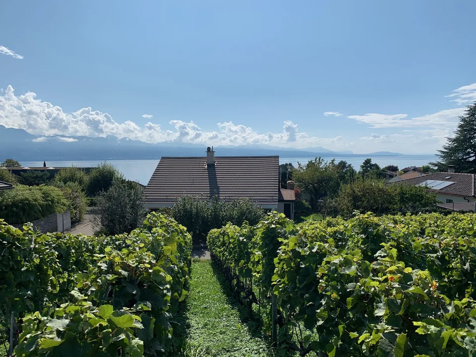 Lutry - Villa familiale de 6 pièces avec vue sur le lac