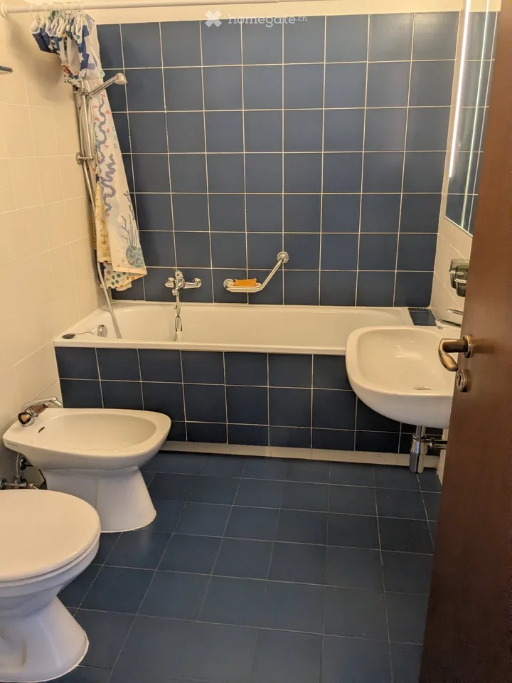 Mietwohnung 2.5 Zimmer in Davesco – Foto 2 von 5