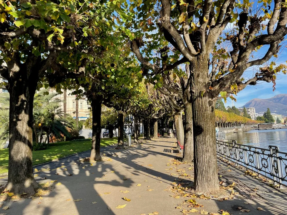 Nuovo appartamento di 3 locali con giardino nel centro di Lugano – foto 6 di 11