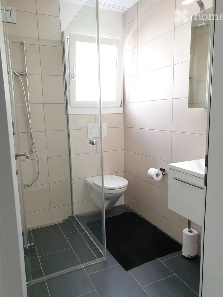 Maison unifamiliale moderne de 6,5 pièces à Emmenbrücke – avec jardin et balcon