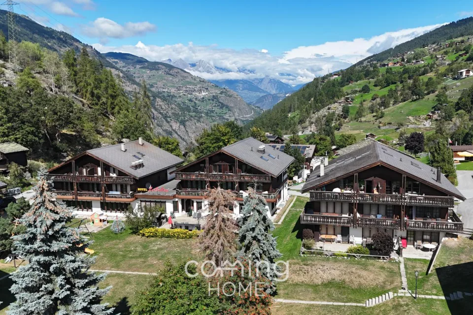 Vivere con vista sulla montagna - delizioso appartamento di 3,5 locali a Grächen – foto 3 di 25